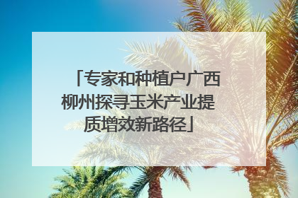 专家和种植户广西柳州探寻玉米产业提质增效新路径