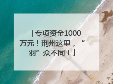 专项资金1000万元！荆州这里，“羽”众不同！