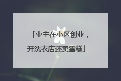 业主在小区创业，开洗衣店还卖雪糕