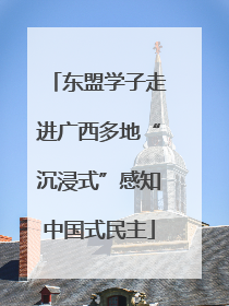 东盟学子走进广西多地“沉浸式”感知中国式民主
