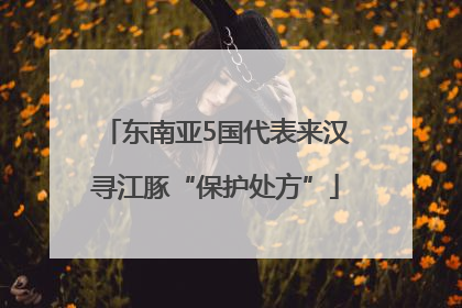 东南亚5国代表来汉寻江豚“保护处方”