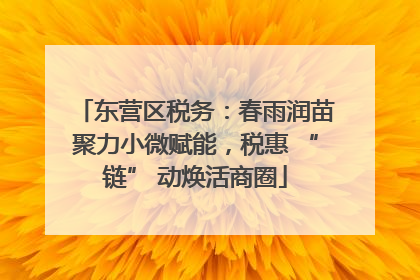 东营区税务：春雨润苗聚力小微赋能，税惠 “链” 动焕活商圈