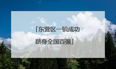 东营区一镇成功跻身全国百强