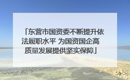 东营市国资委不断提升依法履职水平 为国资国企高质量发展提供坚实保障