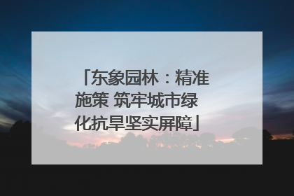 东象园林：精准施策 筑牢城市绿化抗旱坚实屏障