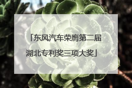 东风汽车荣膺第二届湖北专利奖三项大奖