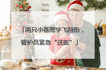两只小苍鹭学飞刮伤，管护员紧急“送医”