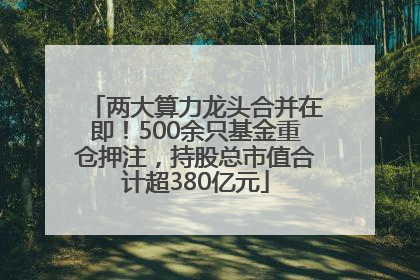 两大算力龙头合并在即！500余只基金重仓押注，持股总市值合计超380亿元