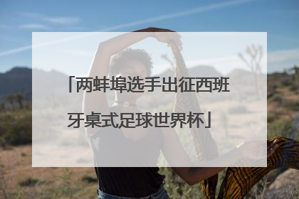 两蚌埠选手出征西班牙桌式足球世界杯
