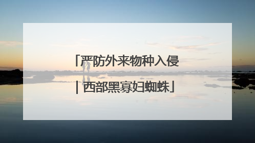 严防外来物种入侵｜西部黑寡妇蜘蛛