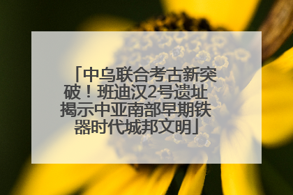 中乌联合考古新突破！班迪汉2号遗址揭示中亚南部早期铁器时代城邦文明