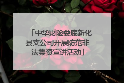 中华财险娄底新化县支公司开展防范非法集资宣讲活动