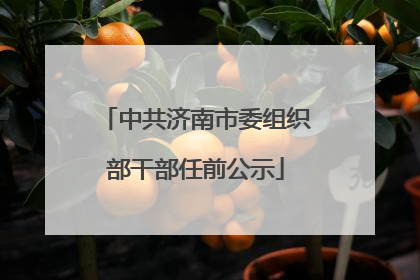 中共济南市委组织部干部任前公示