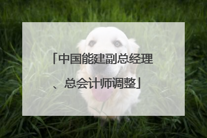 中国能建副总经理、总会计师调整