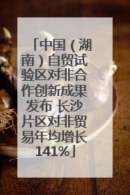 中国（湖南）自贸试验区对非合作创新成果发布 长沙片区对非贸易年均增长141%