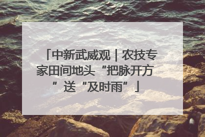 中新武威观｜农技专家田间地头“把脉开方”送“及时雨”