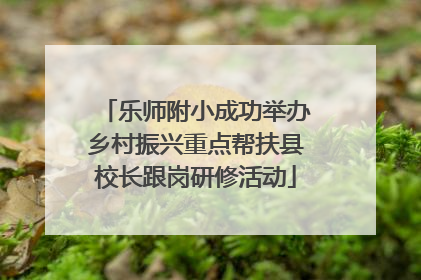 乐师附小成功举办乡村振兴重点帮扶县校长跟岗研修活动