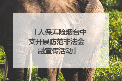 人保寿险烟台中支开展防范非法金融宣传活动