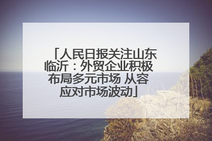 人民日报关注山东临沂：外贸企业积极布局多元市场 从容应对市场波动