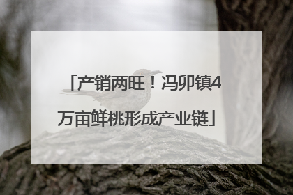 产销两旺！冯卯镇4万亩鲜桃形成产业链