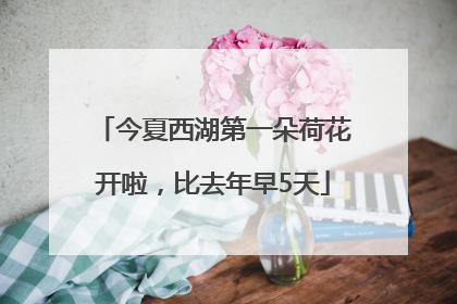 今夏西湖第一朵荷花开啦，比去年早5天