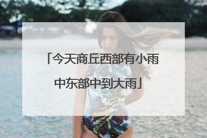 今天商丘西部有小雨 中东部中到大雨