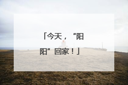 今天，“阳阳”回家！