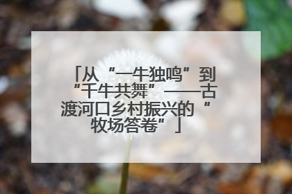 从“一牛独鸣”到“千牛共舞”——古渡河口乡村振兴的“牧场答卷”
