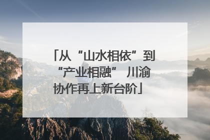 从“山水相依”到“产业相融” 川渝协作再上新台阶