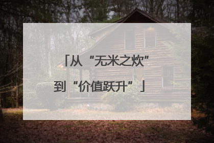 从“无米之炊”到“价值跃升”