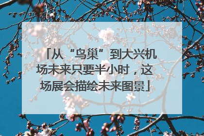 从“鸟巢”到大兴机场未来只要半小时，这场展会描绘未来图景
