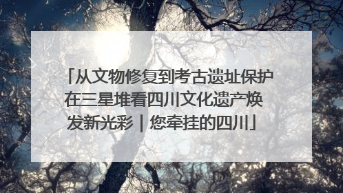 从文物修复到考古遗址保护 在三星堆看四川文化遗产焕发新光彩｜您牵挂的四川