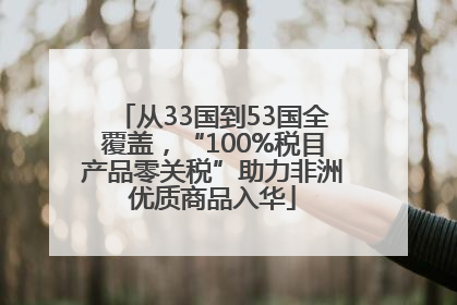 从33国到53国全覆盖，“100%税目产品零关税”助力非洲优质商品入华