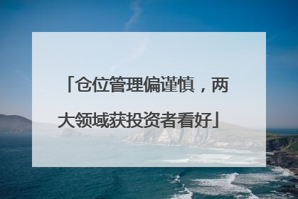 仓位管理偏谨慎，两大领域获投资者看好