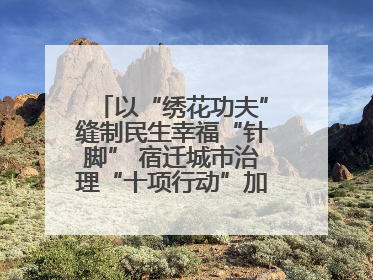 以“绣花功夫”缝制民生幸福“针脚” 宿迁城市治理“十项行动”加速落地