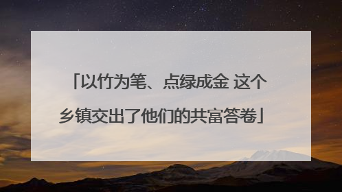 以竹为笔、点绿成金 这个乡镇交出了他们的共富答卷