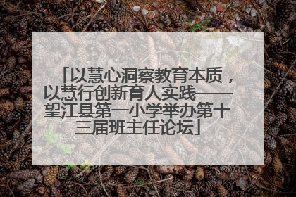 以慧心洞察教育本质，以慧行创新育人实践——望江县第一小学举办第十三届班主任论坛