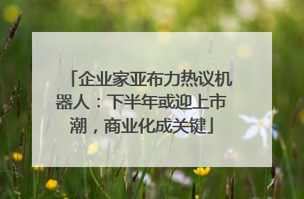 企业家亚布力热议机器人：下半年或迎上市潮，商业化成关键