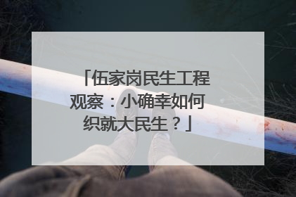 伍家岗民生工程观察：小确幸如何织就大民生？