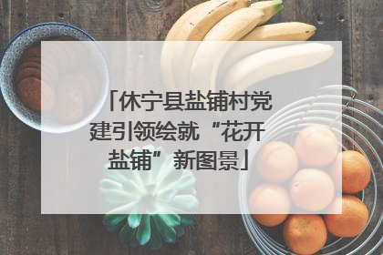 休宁县盐铺村党建引领绘就“花开盐铺”新图景