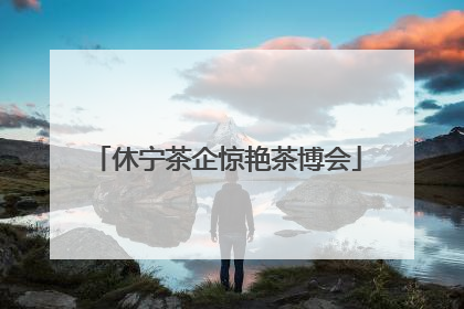 休宁茶企惊艳茶博会