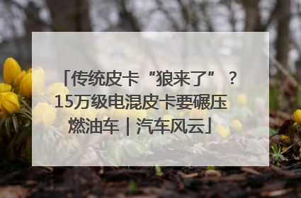 传统皮卡“狼来了”？15万级电混皮卡要碾压燃油车｜汽车风云