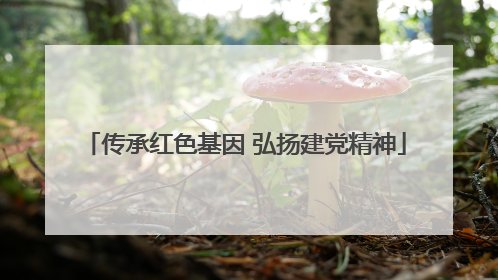传承红色基因 弘扬建党精神