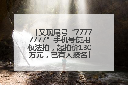 又现尾号“77777777”手机号使用权法拍，起拍价130万元，已有人报名