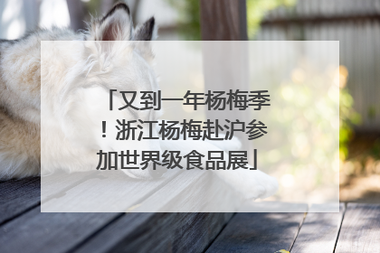 又到一年杨梅季！浙江杨梅赴沪参加世界级食品展