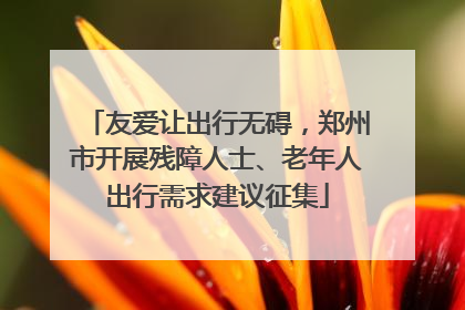 友爱让出行无碍，郑州市开展残障人士、老年人出行需求建议征集