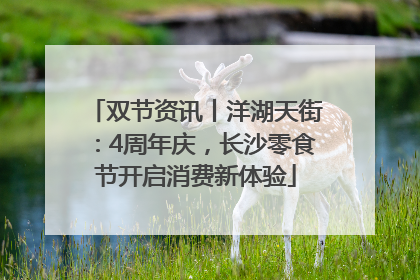 双节资讯丨洋湖天街：4周年庆，长沙零食节开启消费新体验