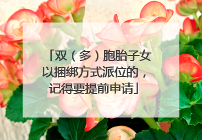 双（多）胞胎子女以捆绑方式派位的，记得要提前申请