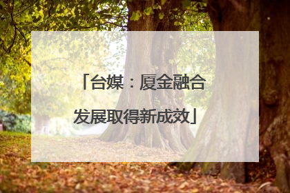 台媒：厦金融合发展取得新成效
