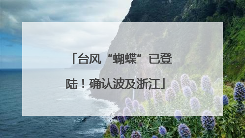 台风“蝴蝶”已登陆！确认波及浙江